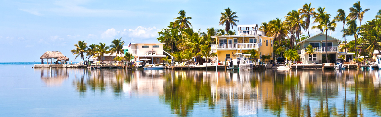 Wide shot of houses on the ocean with many palm trees.